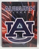 Auburn University Canvas 11" x 14" Wall Hanging collectible canvas, ncaa licensed, officially licensed, collegiate collectible, university of