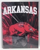 University of Arkansas Canvas 11" x 14" Wall Hanging collectible canvas, ncaa licensed, officially licensed, collegiate collectible, university of