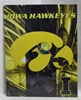 University of Iowa Canvas 11" x 14" Wall Hanging collectible canvas, ncaa licensed, officially licensed, collegiate collectible, university of